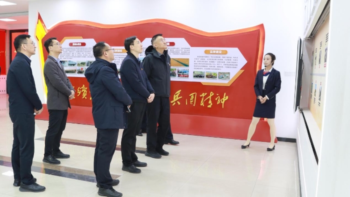 图片5